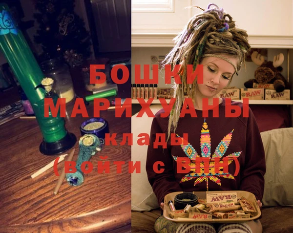 шишки Шарыпово