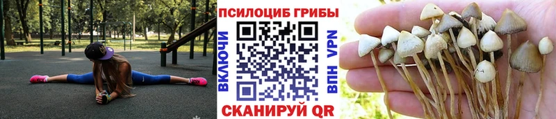 Псилоцибиновые грибы Psilocybine cubensis  гидра маркетплейс  сайты даркнета формула  Ярославль 